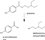 procaine molecule